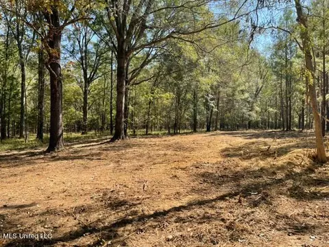 Deer Haven Phase Ii, Madison, MS 39110 photo 3