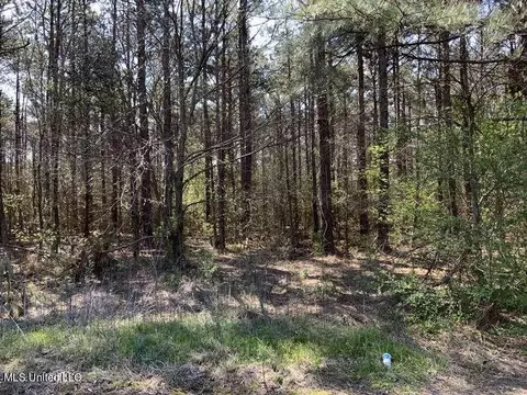 Smart Road, Senatobia, MS 38668 photo 4