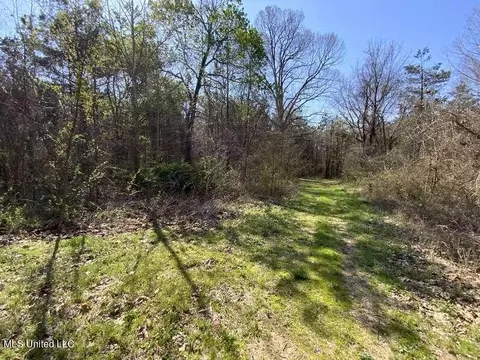 Smart Road, Senatobia, MS 38668 photo 3