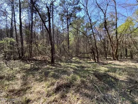 Smart Road, Senatobia, MS 38668 photo 2