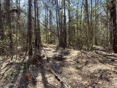 Smart Road, Senatobia, MS 38668 photo 5