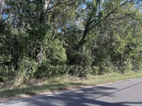 Martin Street, Moss Point, MS 39563 photo 6