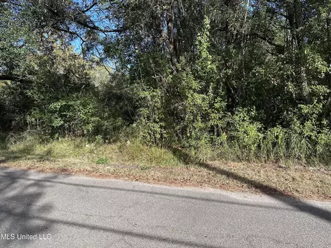 Martin Street, Moss Point, MS 39563 photo 7