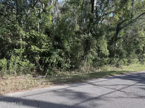 Martin Street, Moss Point, MS 39563 photo 3