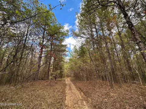 0 Jack Rd, Utica, MS 39175 photo 11