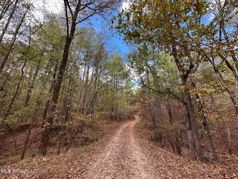 0 Jack Rd, Utica, MS 39175 photo 13