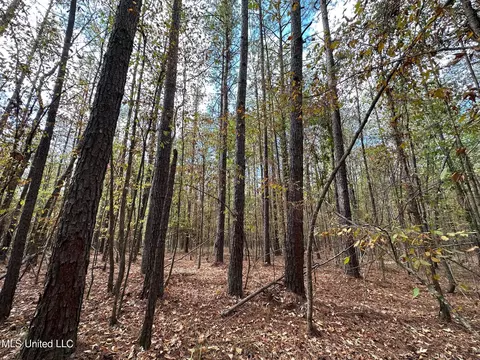 0 Jack Rd, Utica, MS 39175 photo 5