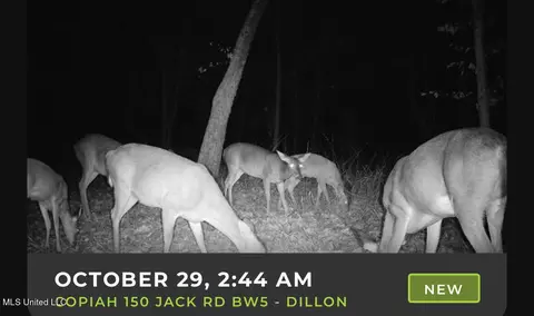 0 Jack Rd, Utica, MS 39175 photo 19