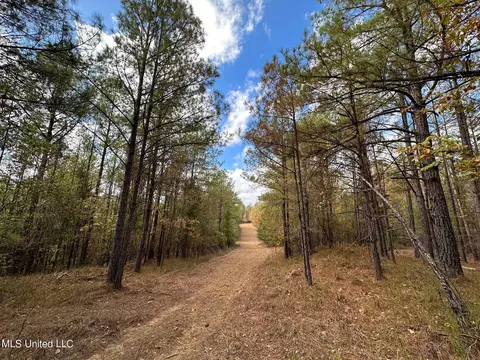 0 Jack Rd, Utica, MS 39175 photo 6