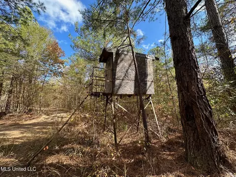 0 Jack Rd, Utica, MS 39175 photo 2