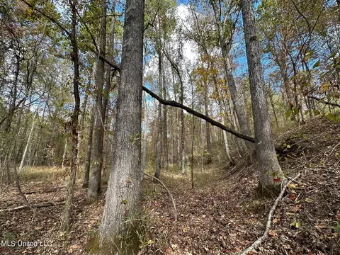 0 Jack Rd, Utica, MS 39175 photo 8