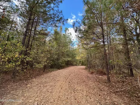 0 Jack Rd, Utica, MS 39175 photo 12