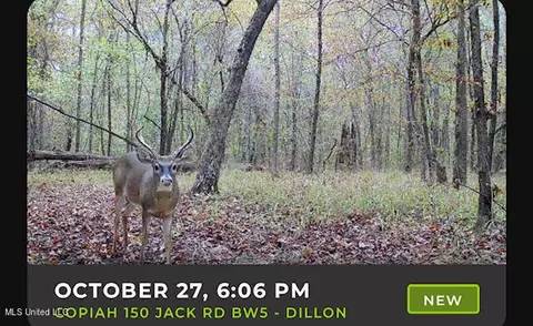 0 Jack Rd, Utica, MS 39175 photo 16