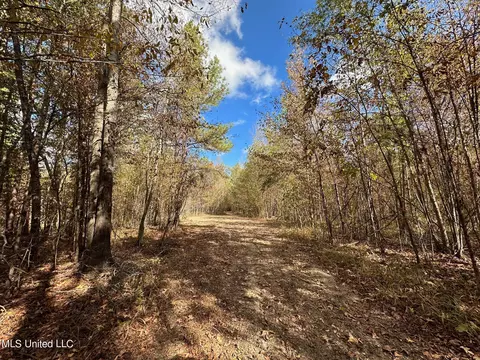 0 Jack Rd, Utica, MS 39175 photo 3
