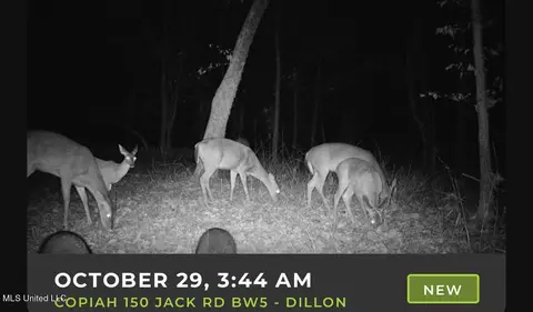 0 Jack Rd, Utica, MS 39175 photo 18