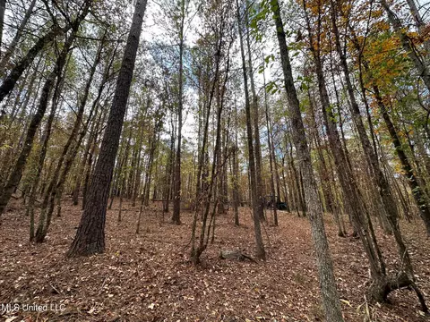 0 Jack Rd, Utica, MS 39175 photo 9