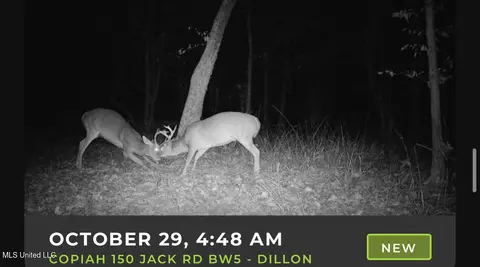 0 Jack Rd, Utica, MS 39175 photo 17