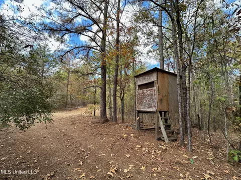 0 Jack Rd, Utica, MS 39175 photo 10