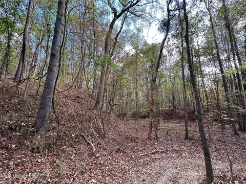0 Jack Rd, Utica, MS 39175 photo 4
