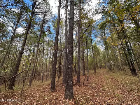 0 Jack Rd, Utica, MS 39175 photo 7
