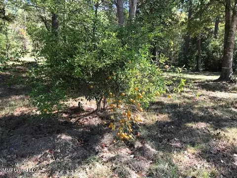 8540 Marthaler Rd, Moss Point, MS 39562 photo 9