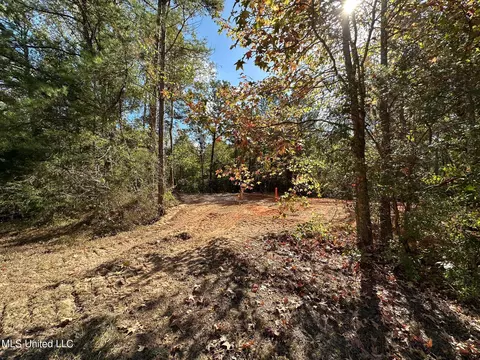 1 Highway 43, Carthage, MS 39051 photo 4