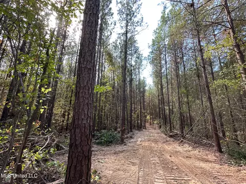 1 Highway 43, Carthage, MS 39051 photo 6