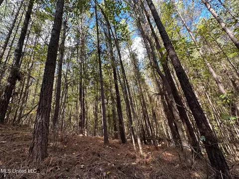 1 Highway 43, Carthage, MS 39051 photo 8