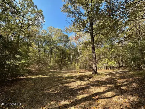 1 Highway 43, Carthage, MS 39051 photo 10