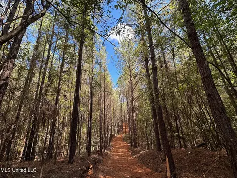 1 Highway 43, Carthage, MS 39051