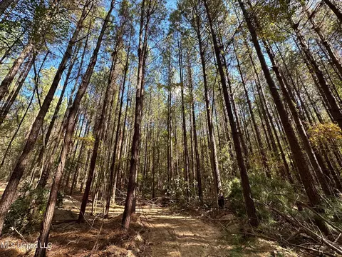 1 Highway 43, Carthage, MS 39051 photo 7