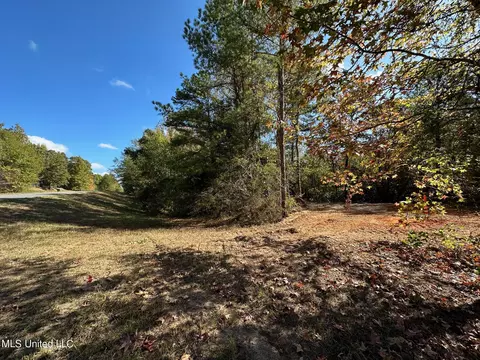 1 Highway 43, Carthage, MS 39051 photo 5