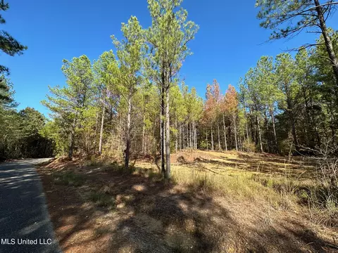 2 Whalen Rd, Carthage, MS 39051 photo 17
