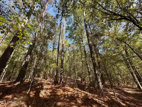 2 Whalen Rd, Carthage, MS 39051 photo 14