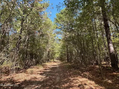 2 Whalen Rd, Carthage, MS 39051 photo 6