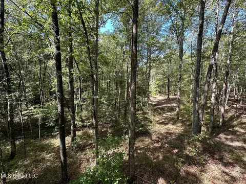 2 Whalen Rd, Carthage, MS 39051 photo 10