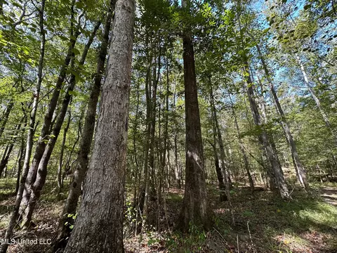 2 Whalen Rd, Carthage, MS 39051 photo 12
