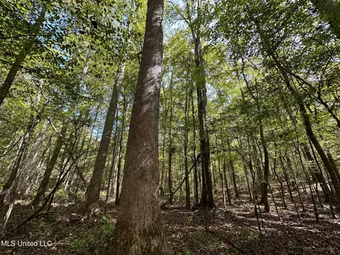 2 Whalen Rd, Carthage, MS 39051 photo 11