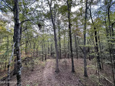 2 Whalen Rd, Carthage, MS 39051 photo 20