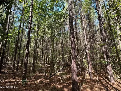 2 Whalen Rd, Carthage, MS 39051 photo 16