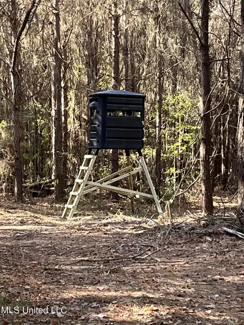 Old Highway 51 Rd, Pickens, MS 39146 photo 7