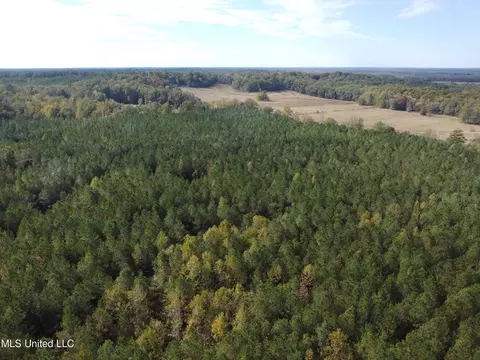 Old Highway 51 Rd, Pickens, MS 39146 photo 2