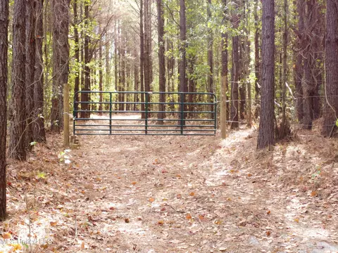 Old Highway 51 Rd, Pickens, MS 39146 photo 3