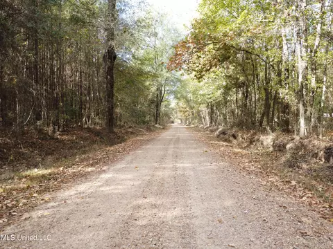 Old Highway 51 Rd, Pickens, MS 39146 photo 5