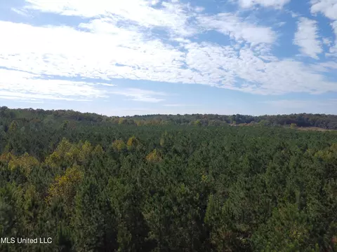 Old Highway 51 Rd, Pickens, MS 39146 photo 6