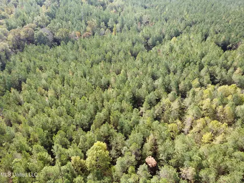 Old Highway 51 Rd, Pickens, MS 39146 photo 4