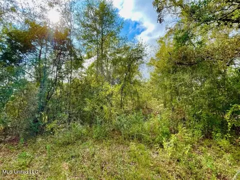 23309 Ramsey Ln, Saucier, MS 39574 photo 3