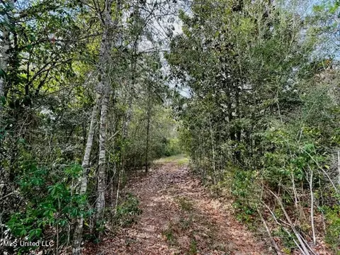 23309 Ramsey Ln, Saucier, MS 39574 photo 2