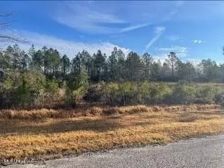 Bear Ridge Road, Vancleave, MS 39565