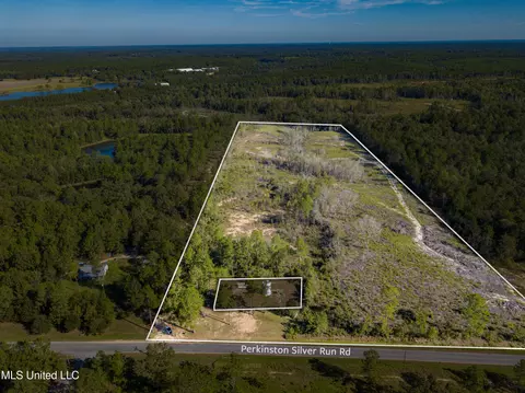 25 Acres Perkinston Silver Run Rd, Perkinston, MS 39573